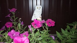 Влог 4-10 августа 2025 г Пробую новый салат на зиму 👌