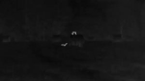 TrackiR PRO 50 mm 10.08.25