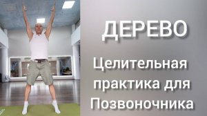 ДЕРЕВО. Древняя практика для позвоночника. Утренняя зарядка для спины и всего тела.