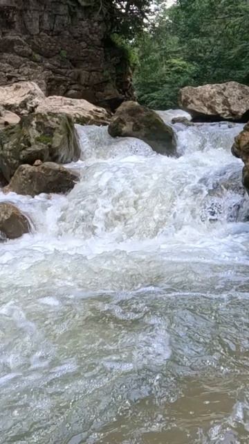 Гуамское ущелье река Курджипс Краснодарский край