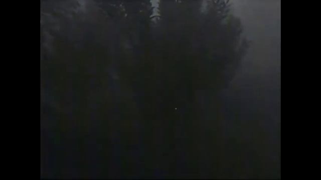 Backrooms 16 - Consolidated movie #2