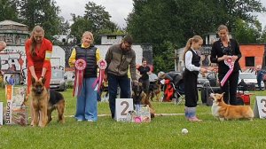 28.06.2025, СПб. Клуб "Зоолюкс" (РКФ, РФЛС). Выставка собак CAC 1 группы FCI
