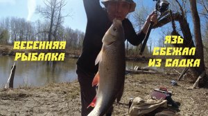Весенняя рыбалка/ Бодрый клёв/ Язь сбежал из садка