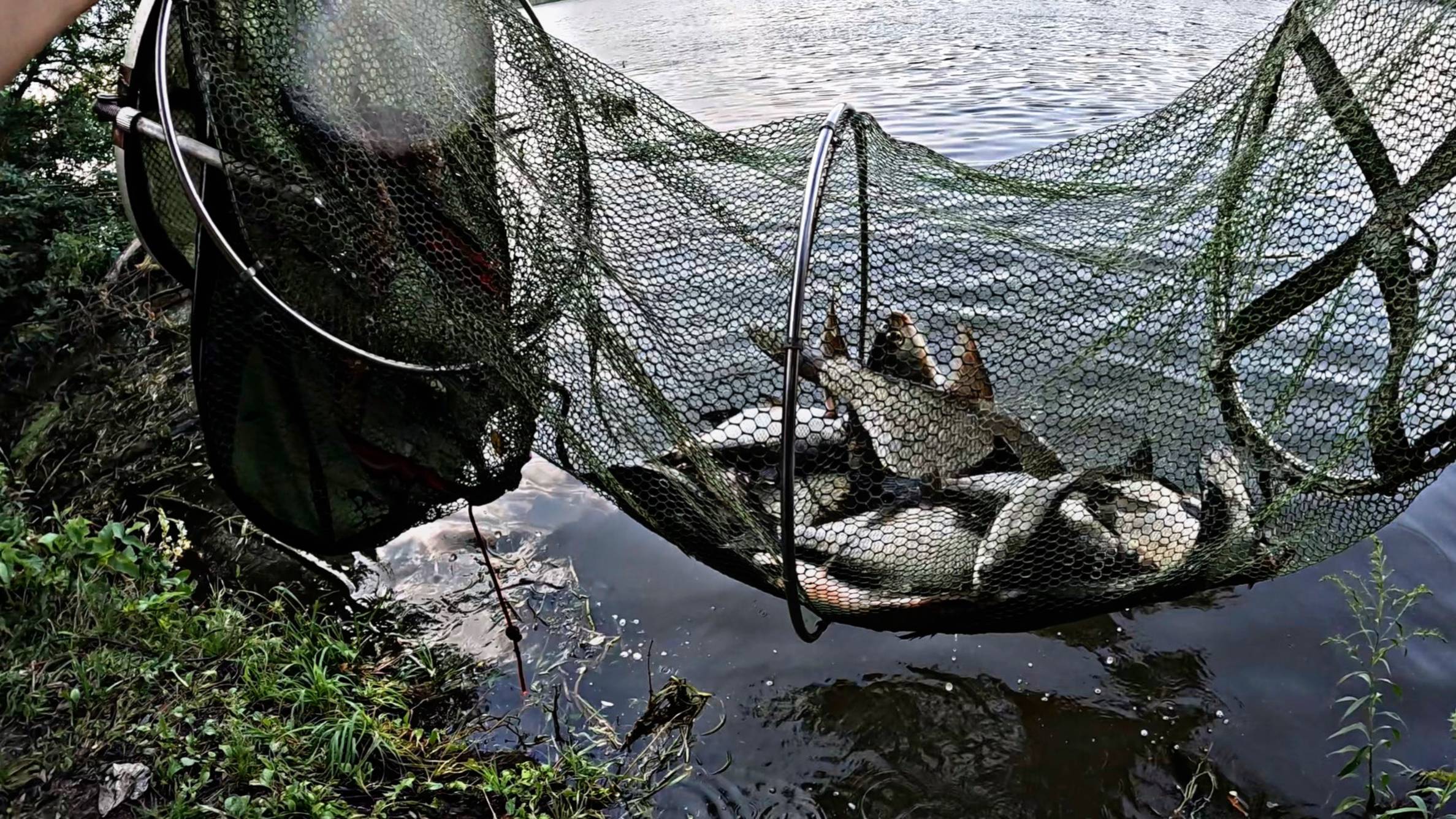 РЫБАЛКА НА ЛЕЩА. ФИДЕР. ЛЕТО 2025! смотреть онлайн