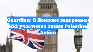 Guardian: В Лондоне задержаны 532 участника акции Palestine Action