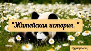 Жизнь сама иногда такие сюжеты подкидывает.