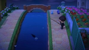 Кайманова черепаха