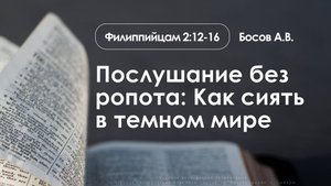 «Послушание без ропота: Как сиять  в темном мире»  | Филиппийцам 2:12-16 | Босов А.В. | 10.08.25