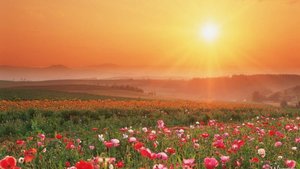 Медитативная музыка