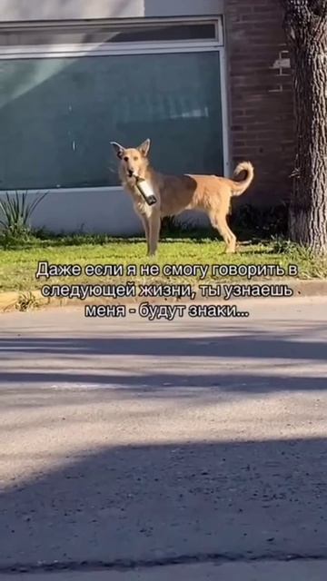 Знаки