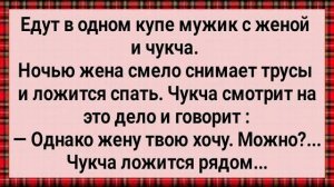 Как Чукча в Поезде с Чужой Женой Возлег! Сборник Свежих Анекдотов!