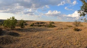 В горку на кросстрек 300