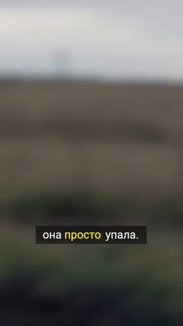 Шок: стена исчезает в тумане смотреть онлайн