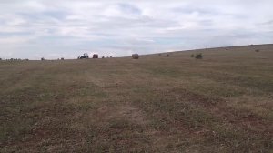 Трактор🚜 Беларус МТЗ-82 сенокос прессует сено в рулоны. 31 июля. 2025год