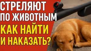Пробный стрим на ВК от 9 августа