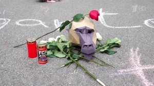 В зоопарках Европы все чаще происходят случаи умерщвления редких животных