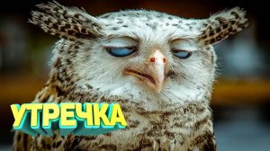 КРУТЫЕ ПРИКОЛЫ 2025 \ НОВЫЕ ПРИКОЛЫ \ СМЕШНЫЕ ПРИКОЛЫ 2025