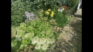 огород 2 августа 25год