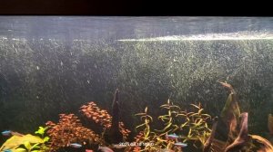 Распылитель для аквариума с мельчайшими пузырьками