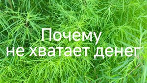 Почему не хватает денег.