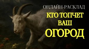 КТО ПЫТАЕТСЯ ВМЕШАТЬСЯ В ВАШУ ЖИЗНЬ? ОНЛАЙН-РАСКЛАД ТАРО