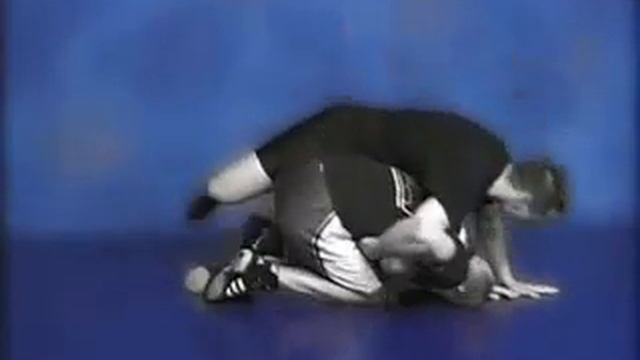 Настоящий борец 3 / The Complete Grappler 3