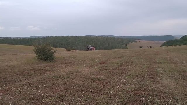 Трактор🚜 Беларус МТЗ-82 прессует сено в рулоны. 31 июля 2025год