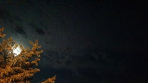 Луна небо и всё ещё лето