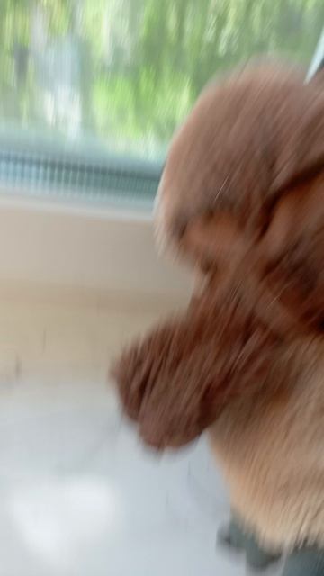 1000001303.mp4 смотреть онлайн