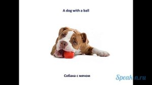 5_1_A ball