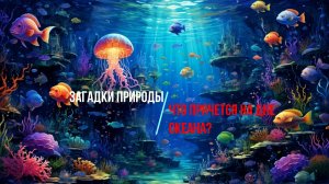 Загадки природы