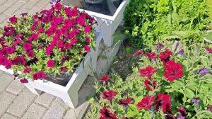 РЕШИЛИ ПОТРАТИТЬ ВСЕ ДЕНЬГИ И СПАТЬ СПОКОЙНО!