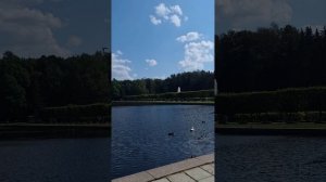 Секретная миссия из Нижнего Велино. Как заводчик алабаев отдыхает в Имперской Столице? #Питер #спб
