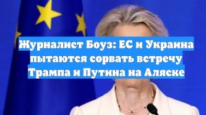 Журналист Боуз: ЕС и Украина пытаются сорвать встречу Трампа и Путина на Аляске