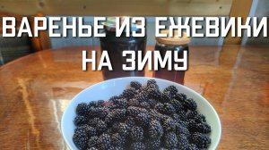 Варенье пятиминутка из ежевики на зиму простой рецепт в домашних условиях