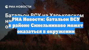 РИА Новости: батальон ВСУ в районе Синельниково может оказаться в окружении