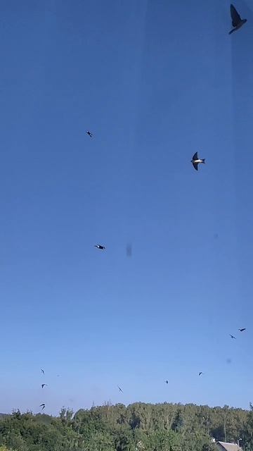 С добрым утром,мои друзья!!! смотреть онлайн