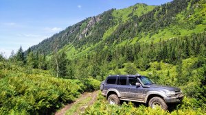 Кошка Мая на Мамае