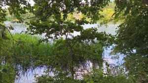 Релакс видео, природа.mp4