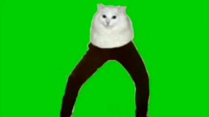 Кот танцует