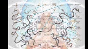 5. Родовые сценарии