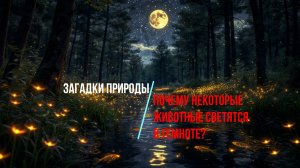 Загадки природы