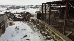 ЖЗБИ Оха ( Полное видео ‼️) 2:46