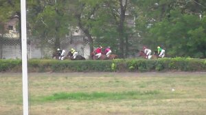 10.08.2025г скачка № 7  Приз Ростова-на-Дону