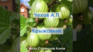 Чехов А.П. - Крыжовник