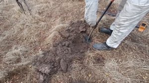 #Августовский КОП после дождя!!!