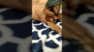 Стрим 3 Лайфхаки