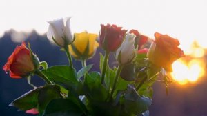 С 11 по 17 августа исполнится - Три важных желания.