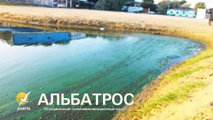 Холодное утро на Анапке: Пропавший друг и неожиданная красота | Влог о природе // АНАПА, 10.08.25 г