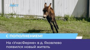 На «УнасФерме» в д. Яковлево появился новый житель